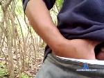 1curiousguyx160 chaturbate profile picture