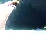 4shardsisukcock chaturbate profile picture