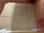 _dinodick chaturbate profile picture