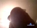 ace4fun99 chaturbate profile picture