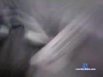 adrockefeller7838 chaturbate profile picture