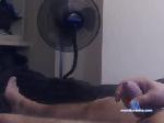aivenhoe chaturbate profile picture