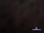 ali_iraq_show chaturbate profile picture