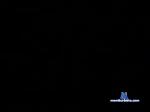 aliandleo chaturbate profile picture