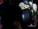 almir26 chaturbate profile picture