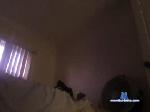 alwayshornydude911 chaturbate profile picture