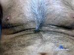 amator123456 chaturbate profile picture