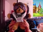 analcreampielovers chaturbate profile picture