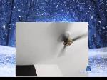andrew_9209 chaturbate profile picture