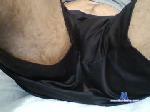angel232232 chaturbate profile picture