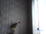 angelika83 chaturbate profile picture
