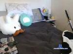 applepi3141 chaturbate profile picture