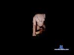 ashitaka96 chaturbate profile picture