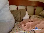 ashleeyhunny4 chaturbate profile picture