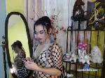 asian_ansel chaturbate profile picture