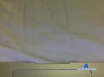 asiandude0713 chaturbate profile picture