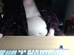 atlwoof chaturbate profile picture