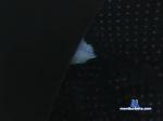 austin171982 chaturbate profile picture