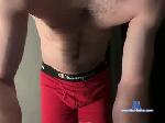 average_joe2009 chaturbate profile picture