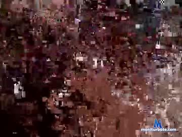 avisha1996 chaturbate livecam performer profile