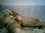 ayl80 chaturbate profile picture