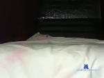 badprime chaturbate profile picture