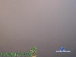 bambiibonsai chaturbate profile picture