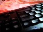 barbiewildtits69 chaturbate profile picture