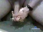 batvampd chaturbate profile picture