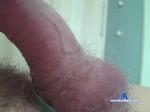 bbwlover4 chaturbate profile picture