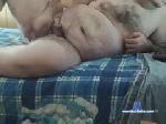 bear_teo chaturbate profile picture