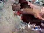 bearb226 chaturbate profile picture