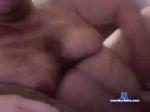 bearchubb chaturbate profile picture
