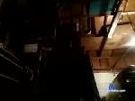 beaverplser619 chaturbate profile picture
