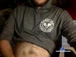 bee_historian chaturbate profile picture