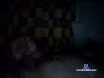 belouas4 chaturbate profile picture