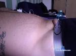 belve90 chaturbate profile picture