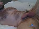 bi_dude_benny chaturbate profile picture