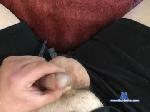 bibear729 chaturbate profile picture