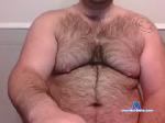 bigbeartinycock chaturbate profile picture