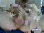 bigboislut420 chaturbate profile picture