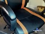 bigboycam05 chaturbate profile picture