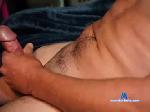 bigcockguy1235 chaturbate profile picture
