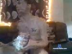 billybob557 chaturbate profile picture