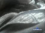 blakebdic4u chaturbate profile picture
