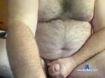 bluepanda354 chaturbate profile picture