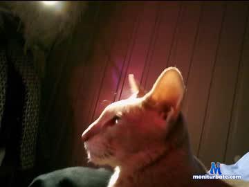 brick_and_feather Chaturbate model profile picture