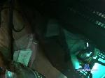 broguy393 chaturbate profile picture