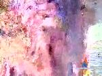 bruno0776 chaturbate profile picture