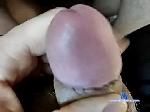 bujmer6666 chaturbate profile picture